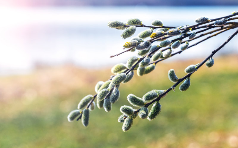 Ostern auf Rügen