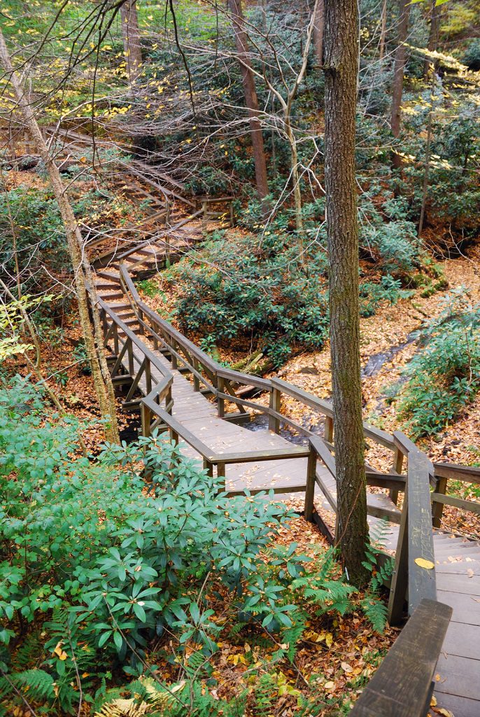 Wandern Baumwipfelpfad Binz Rügen